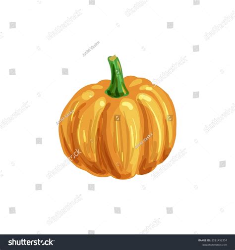 Pumpkin Cartoon Drawing Vector Illustration Isolated Stock Vector ...