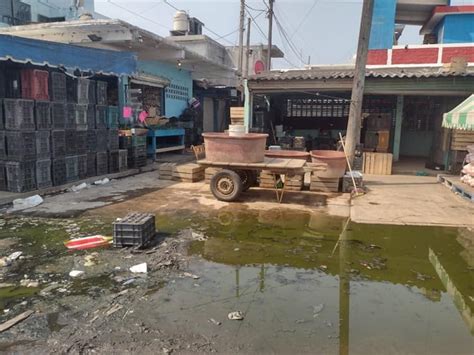 Mercado Malibrán de Veracruz con múltiples problemáticas por la basura