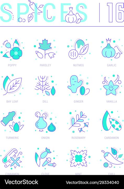 Set Blue Line Icons Spices Royalty Free Vector Image