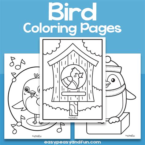 Bird Coloring Pages Easy Peasy And Fun Membership Easypeasyandfun