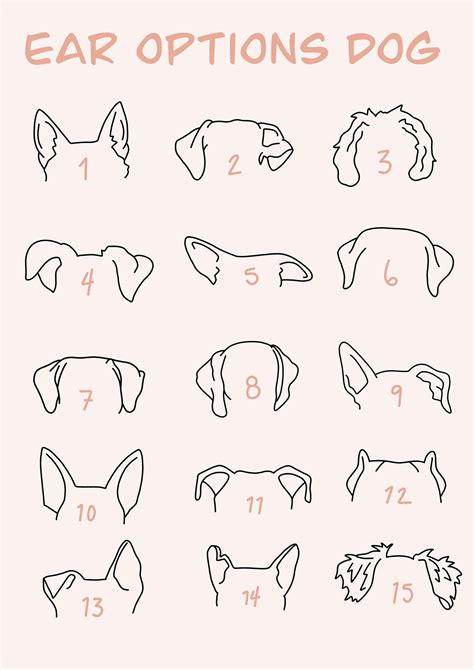 How To Draw Dog Ears Dog Ear Drawing Dog Ear Outline Drawing Nbkomputer