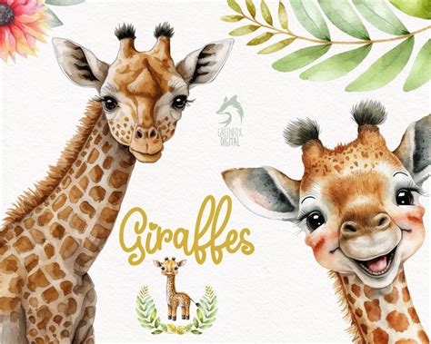 Giraffe Watercolor Clipart Cute Baby Shower Graphics Nursery Decor