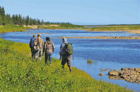 canadas hudson bay   gravity   rest   world curly