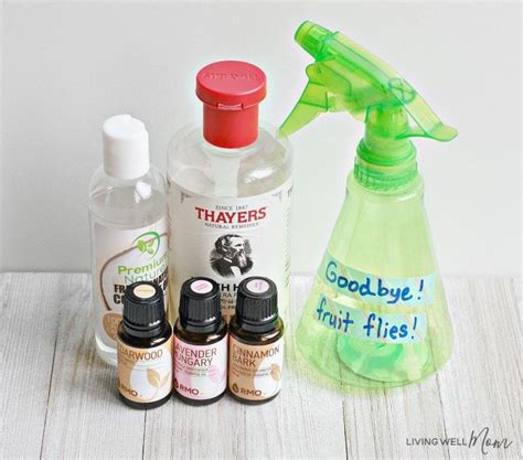 Diy Natural Fruit Fly Trap Essential Oil Spray Living Well Mom Recipe Essential Oil