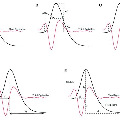 Extracted Parameters From An Action Potential Waveform Which Have Download Scientific Diagram