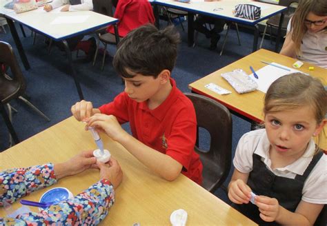 All About The Ear Audiologists Visit Ks2 Willoughby Primary School