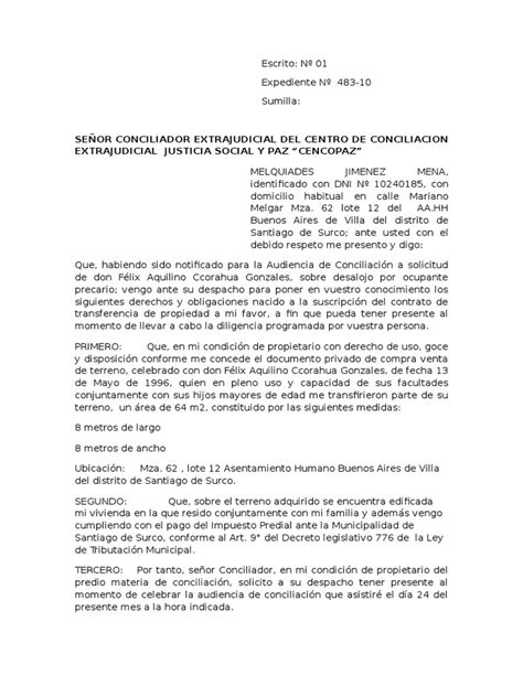 Designacion De Abogado Pdf Propiedad Gobierno