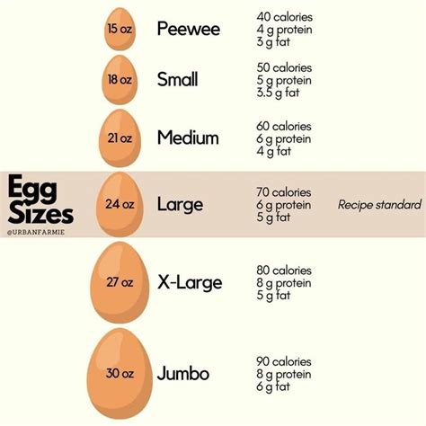 Egg Labels The Ultimate Guide For Buying Eggs Urban Farmie Buying