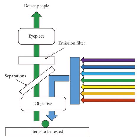 Schematic Diagram Of Fluorescence Microscope Principle Download Scientific Diagram