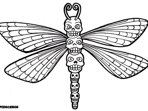 Dragonfly Fairy Adult Coloring Pages