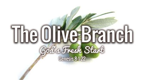 The Olive Branch - Faithlife Sermons