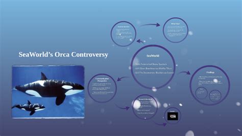 SeaWorld’s Orca Controversy by on Prezi