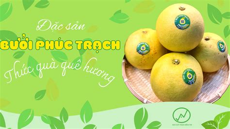 BƯỞi PhÚc TrẠch ChẤt LƯỢng Cao Wao Foods