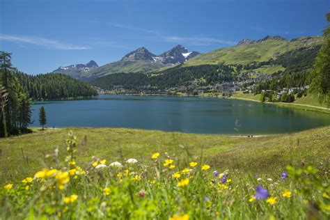 St Moritzersee St Moritz Sommer In Engadin St Moritz