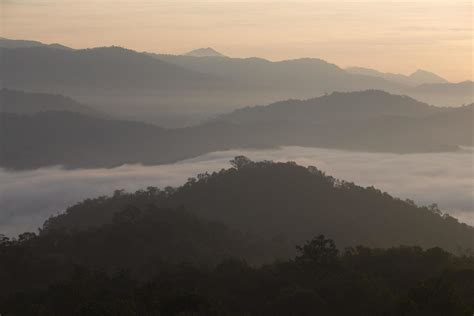 Fog mountain in the early morning sunrise 9585776 Stock Photo at Vecteezy