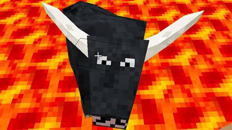 Animals Fight Black Cow Vs Coyote Color Giant Lava Pit Minecraft