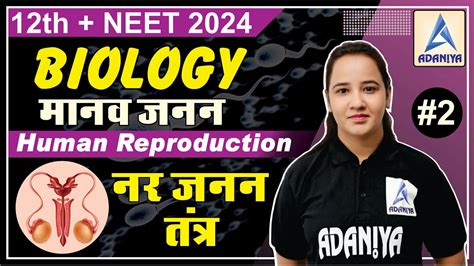 Human Reproduction Class 12 Male Reproductive System Neet 2024