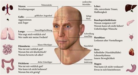 Seelenblockaden Und Krankheiten Auf Einen Blick Erkennen Bewusst