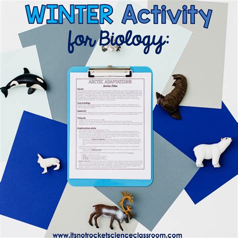 4 Fun Winter Science Activities For High School It S Not Rocket Science