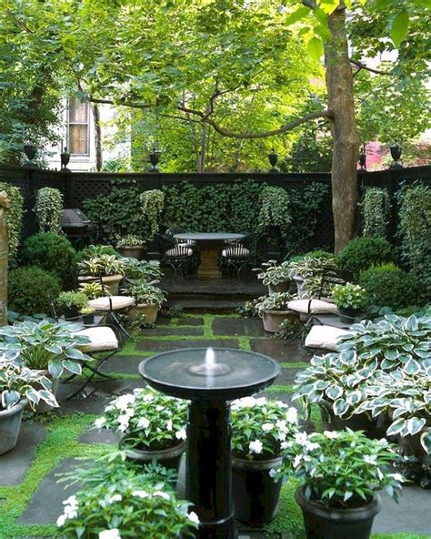 Cool Best Plants For Outdoor Courtyard References