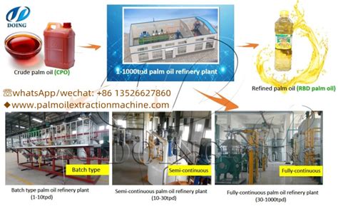 What S The Cost Of Setting Up A Palm Oil Extraction Plant In India