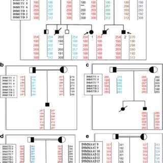 The figure shows haplotype analysis of the families with novel ...