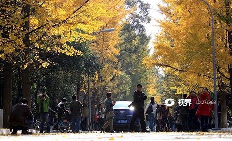 四川大学校园秋景 图片 轩视界