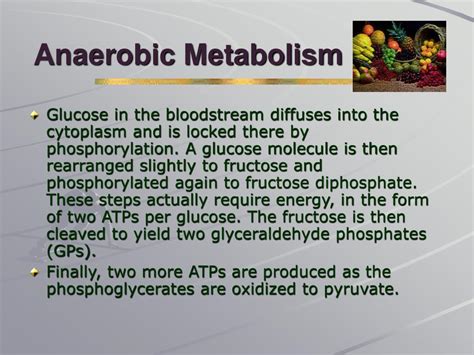 Ppt Physiology Of Metabolism And Energy Powerpoint Presentation Free