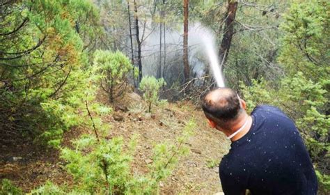 Karabük te orman yangını kısmi olarak kontrol altına alındı Asayiş