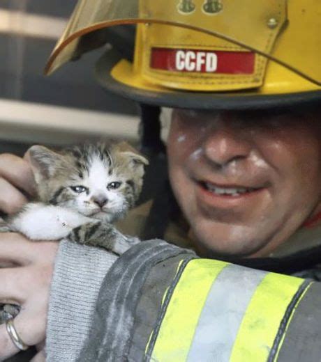 Pompiers Et Animaux Découvrez Les 20 Sauvetages Les Plus émouvants De