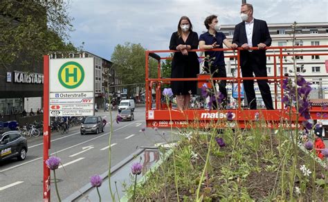 Mehr Natur in der Stadt Pilotprojekt für begrünte Fahrgastunterstände