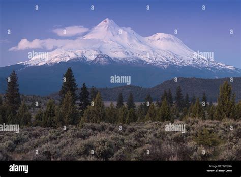 Mount Shasta Volcano with glaciers, in California, USA. Panorama from ...