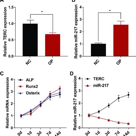 The Serum Levels Of Terc And Mir 217 In Op Patients A The Serum Level Download Scientific