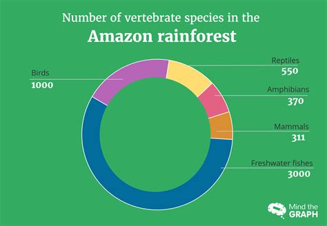 How Much Biodiversity In Amazon Rainforest Barbi Carlota