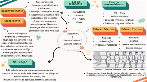 Mapa Mental Crescimento E Desenvolvimento Humano Crescimento E