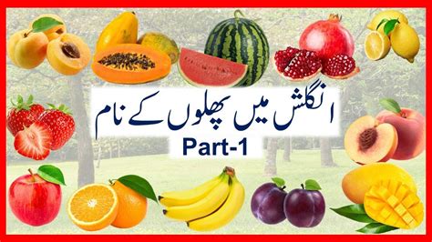 Images Lovely Kiwi Fruit In Urdu Name