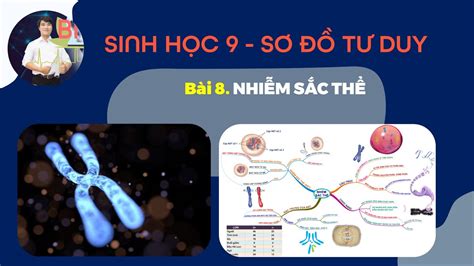 SINH HỌC 9 BÀI 8 NHIỄM SẮC THỂ NST SƠ ĐỒ TƯ DUY YouTube