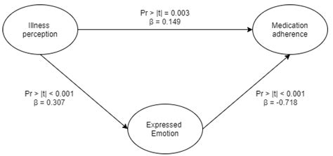 Ijerph Free Full Text Psychoeducation Improved Illness Perception And Expressed Emotion Of