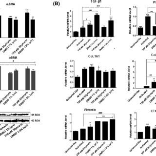 Silymarin Effects On Lipid Absorption And Oxidation In Hepatic Stellate