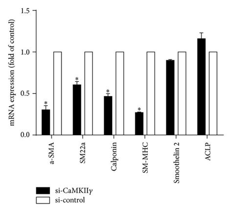 Expression Of Smooth Muscle Contractile Markers Was Downregulated In