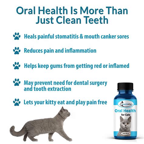 Treats For Cats With Gingivitis at Christine Voss blog
