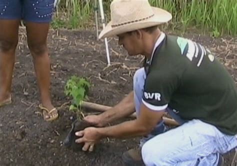 Rede Globo redeamazonica Amazônia TV Agricultores aprendem a