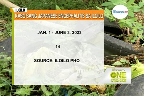 One Western Visayas 14 Ka Kaso Sang Japanese Encephalitis Na Record