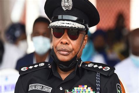 Igp Deploys Four Cps To Delta On Election Duty The Nation Newspaper