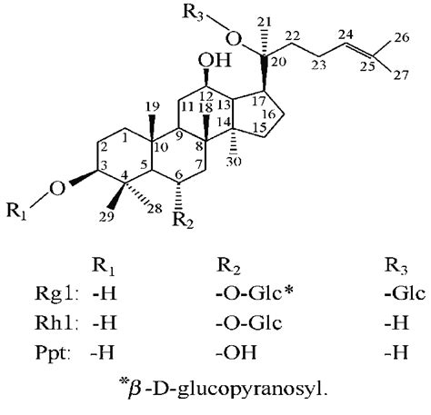 Structures Of Ginsenoside Rg1 Rh1 And Ppt Download Scientific Diagram