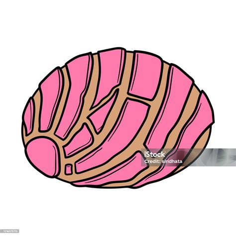 Cartoon Isolated Concha Vector Illustration Stock Illustration ...