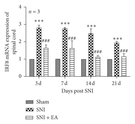 Effect Of 2 Hz Ea On Spinal Irf8 Expression In Sni Rats A Relative