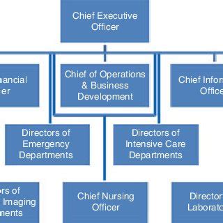 Typical Hospital Organizational Chart