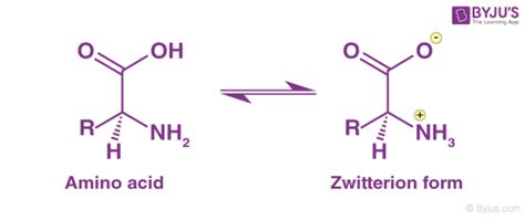 Zwitterion Definition Properties Structure And Applications