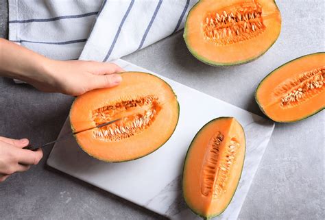 40 Honey Rock Melon Seeds Heirloom Muskmelon Seeds Sugar Etsy